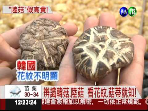 低價陸菇裝高檔 假冒韓菇出售!