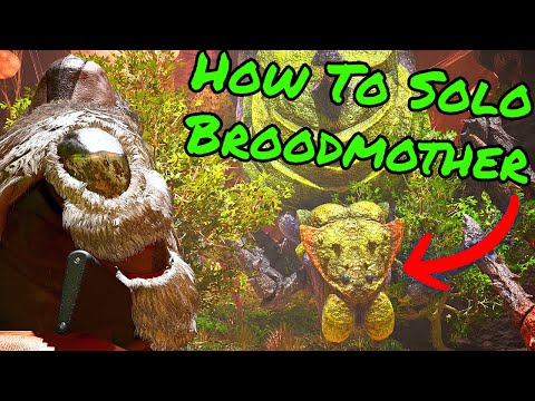 How To SOLO BROODMOTHER on Ark Survival Ascended on OFFICIAL SETTINGS!!! CHEESY TRICK!!!