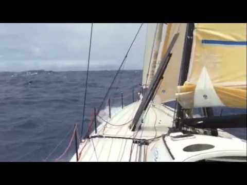 Pegasus-MotionX, Philippe Kahn, Pacific Cup 2010 - The Molokai Channel