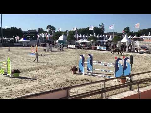 Poney de grand prix as élite excellence - Equirodi.com