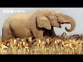 A Journey Across Africa BBC Earth