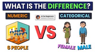 Numerical vs. Categorical Data | Represent Your Dataset Correctly!