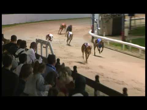 Burgess Honey - Coral TV Trophy - Heat 2