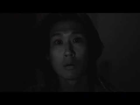 비디오 8