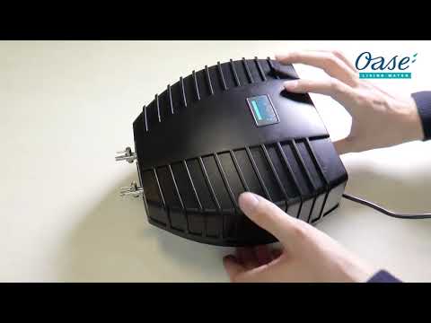 Watch Video on YouTube