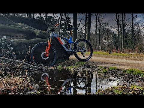 Cube Stereo Hybrid 160 HPC Actionteam / Specialized Kenevo im Aaper Wald / Grafenberger Wald D-Dorf