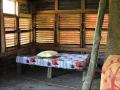 Akwasi S Treehouse Wmv