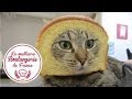 Headshot d'un chat dans "La meilleure boulangerie de France" (M6)