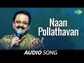 Naan Pollathavan Song Polladhavan S P Balasubrahmanyam M S Viswanathan Hits