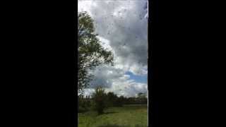 preview picture of video 'Swarm of Mayfly spinners near Burford 2014'