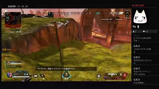 身内向けエーペ