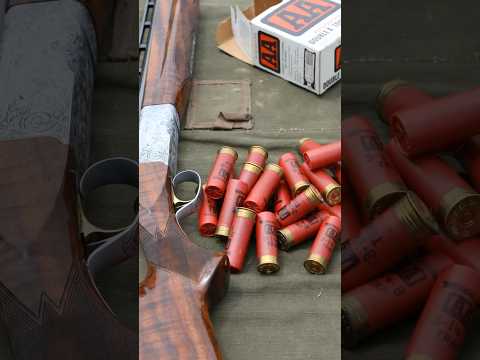 If I Could Only Have ONE Browning Semi-Auto
