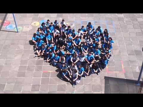 Obrigado Professores !