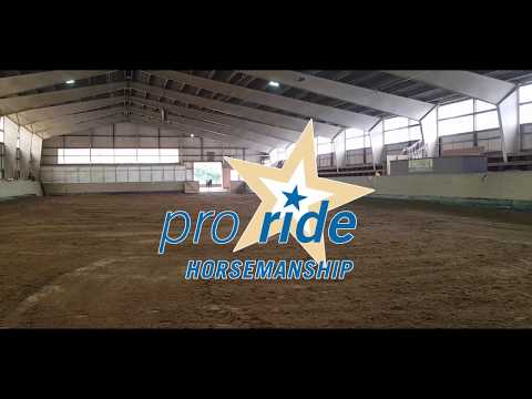 "How to catch a reining horse" mit Thomas Günther von pro ride