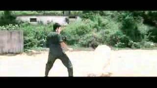 Bruce lee / hero - sevendust