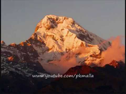 Beni ko bazaar original