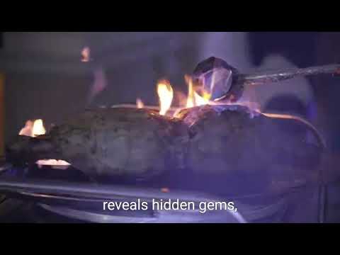 Barbecue in Kansas City: The Ultimate Guide to the Best BBQ Joints