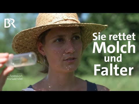 Artenschutz im Unterallgäu: Das Projekt "Arche Noah" | Zwischen Spessart und Karwendel | BR