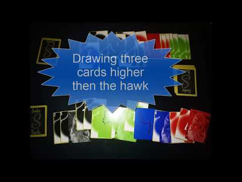 2 player with kitty Snakes and Hawks