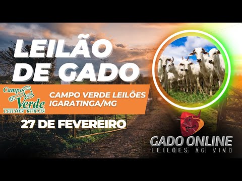 🐂 LEILÃO DE GADO CAMPO VERDE LEILÕES -  IGARATINGA/MG🎥