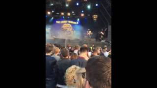 Your Killing me - Dandy Warhols @ Sound City