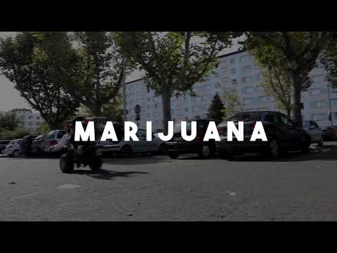 Dmz Gang - MARIJUANA