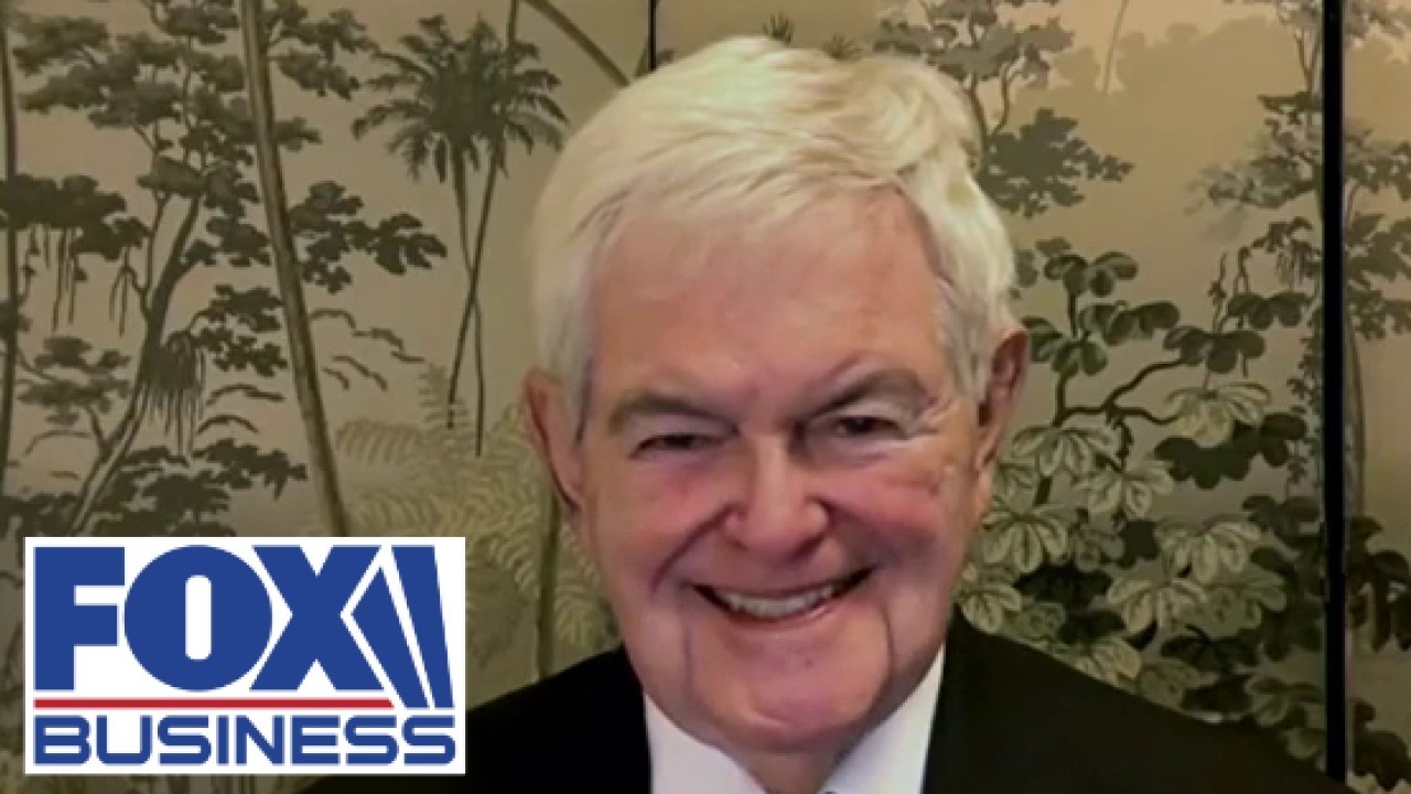 Newt Gingrich: The left would be in much better shape if they weren't the left