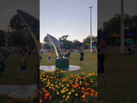 Conhece o aquário de Toledo PR?