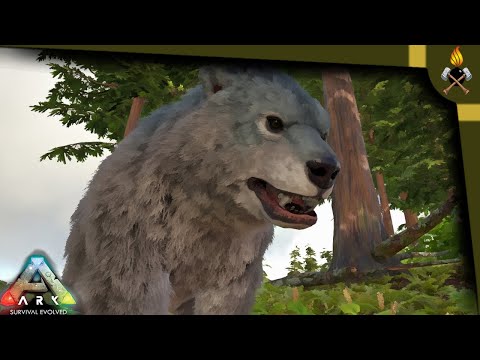 ARK How to tame:  Direbear
