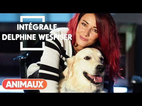 Delphine Wespiser (Miss France 2012) est dans Animaux Stars - Animaux