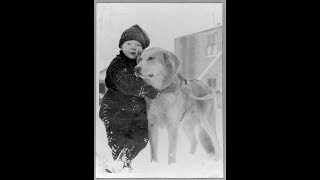 Tracy Nelson - The Love You Save