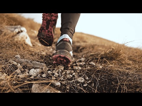 Purpose, values and principles    SD 480p