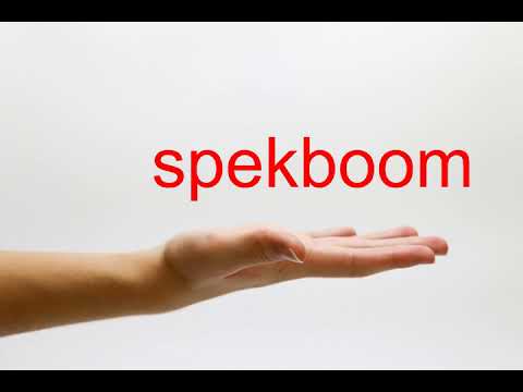 How to Pronounce spekboom - American English