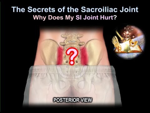 Why Does My sacroiliac Joint Hurt - Everything You Need To Know - Dr. Nabil Ebraheim