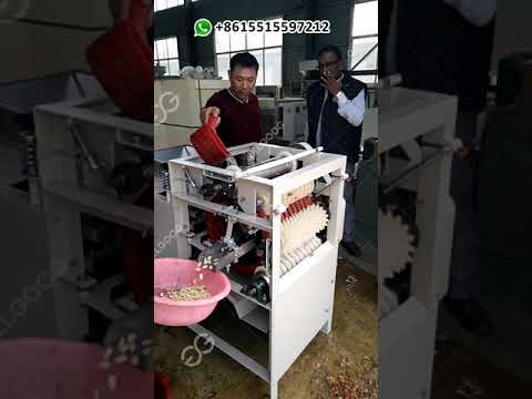 macchina per pelare le mandorle, macchina per spellare le mandorle