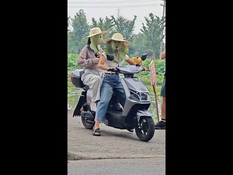 Sonnenschutz auf Chinesisch – die Rückkehr des Lotusblatts!