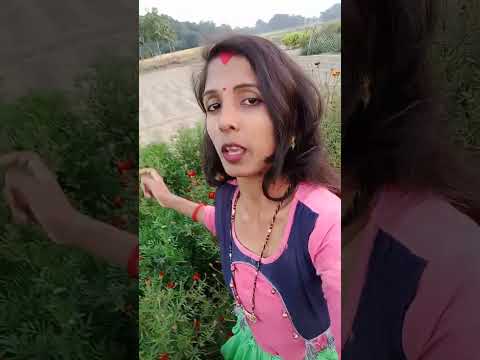 #divyang Archana life official#shorts