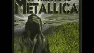 Mettalic Assault - Sad But True ( a tribute to metallica )