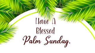 Palm Sunday || Wishes, Message and Quotes || WishesMsg.com