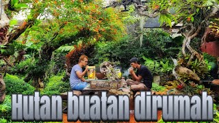 Hutan buatan dirumah cak herry rasio setelah beberapa tahun