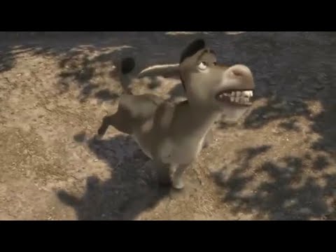 Best of Donkey | Shrekcon