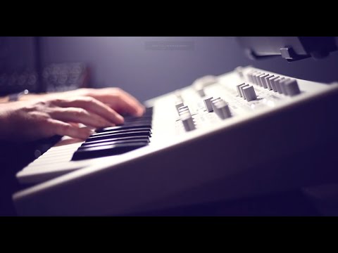 MIDERA | The forever seed (Virus TI ambient)