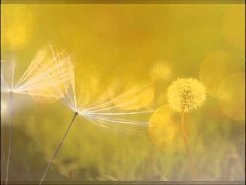 Les Moulins De Mon Coeur - Jan Lundgren Trio