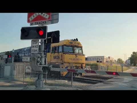 Indian Pacific Interstate Passenger Train #trainspotting #trainspotter #trainlovers #passengertrain