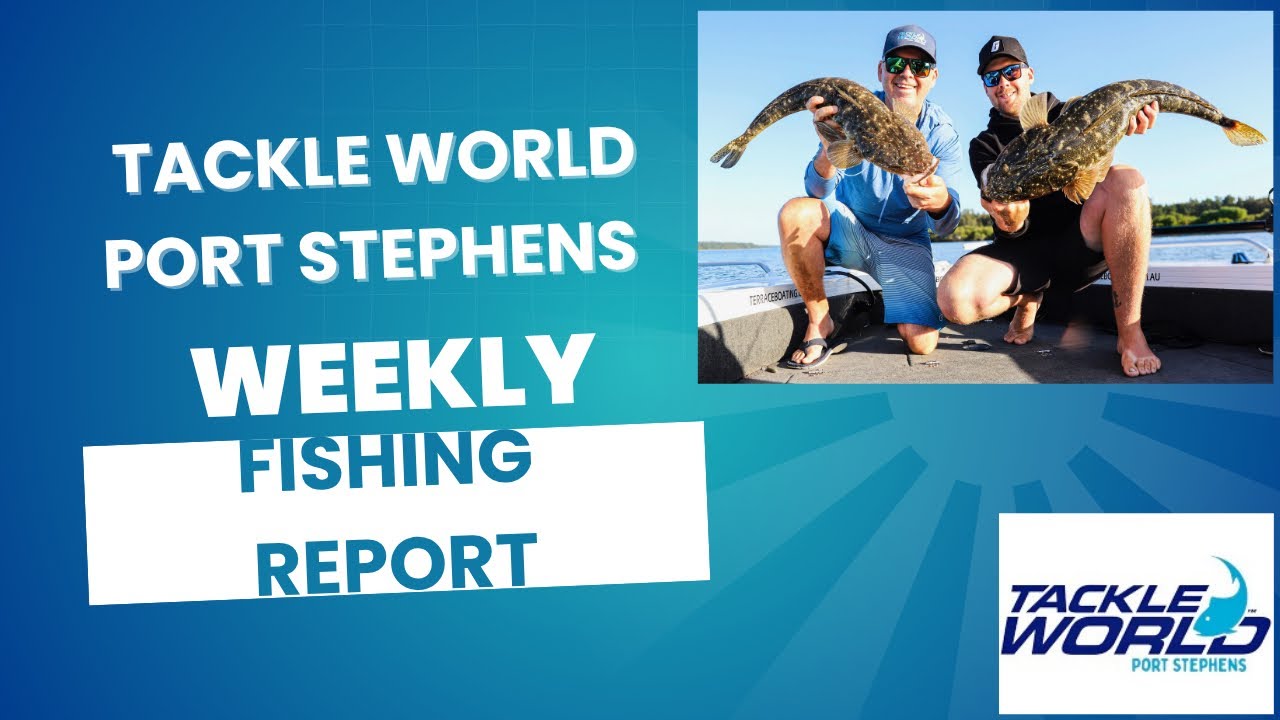 Port Stephens Report: Spawn-Run Bream School Up, Bay Mulloway Still On and a Window for the Islands on Sunday
