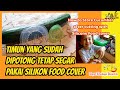 Cara Menyimpan Timun yang Sudah Dipotong Tetap Segar Cara Menyimpan Timun yang Sudah Dipotong Tetap Segar