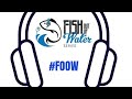 The Bevis Frond - Snow Reaction (Fish Out Of Water Series)