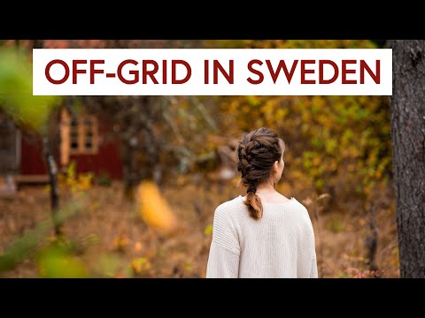 Why we Come to the Woods | Walk & Talk