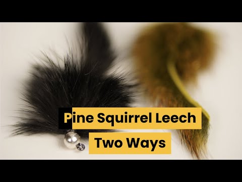 Guide Flies: Pine Squirrel Leech, Two Ways