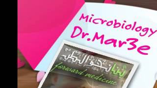 Dr Mar3e  _3-  cont  of Streptococcus